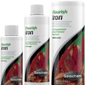 Phan nuoc Seachem Flourish Iron 1